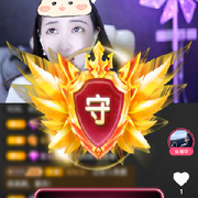 飘又浪海报