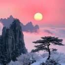 心向阳rj