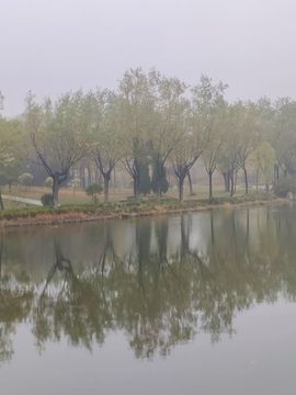 ☞☞永恒☜☜的图片
