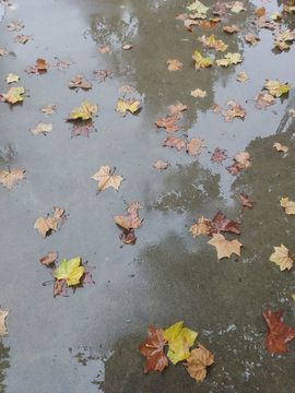 ☞☞永恒☜☜主播照片