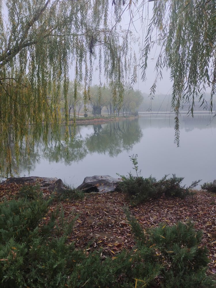☞☞永恒☜☜主播图片