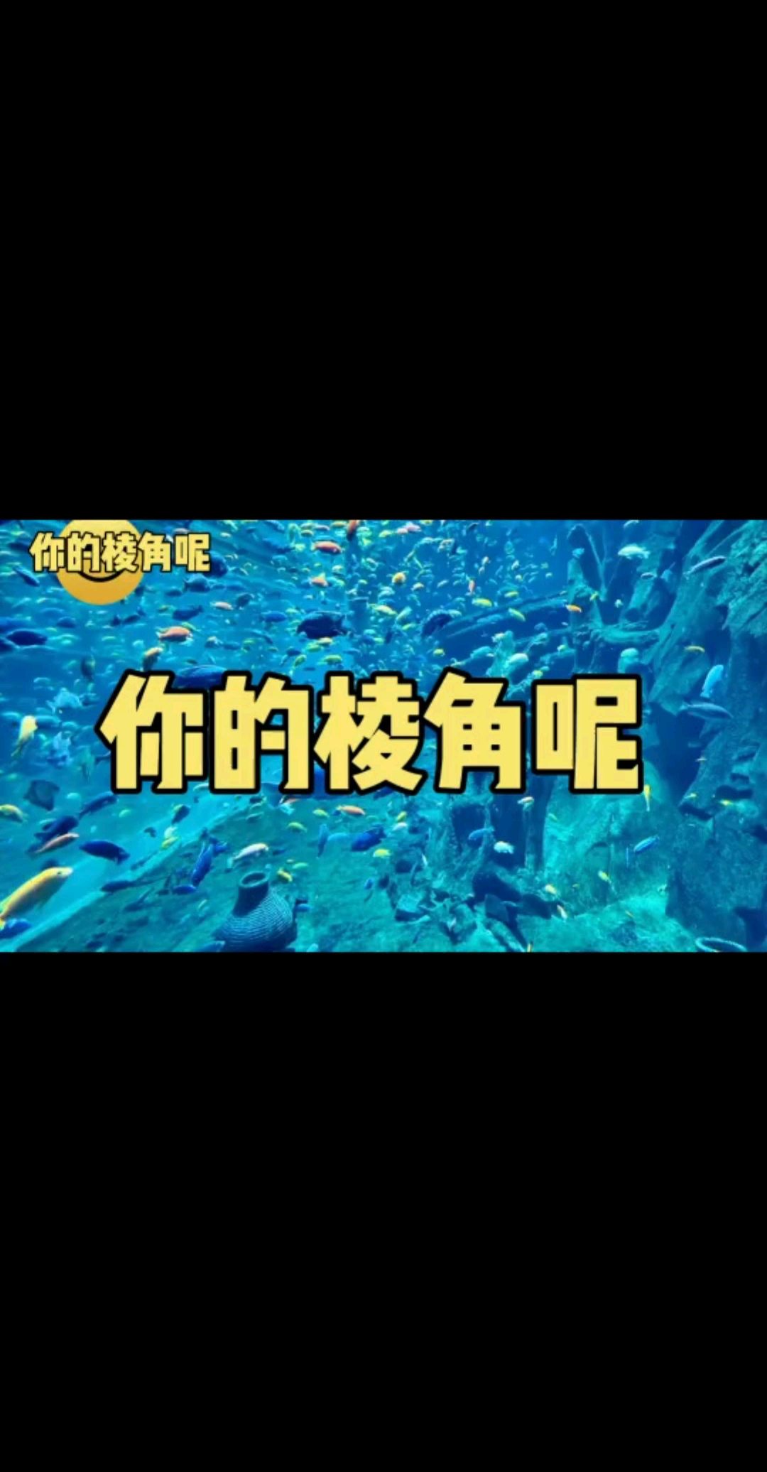 棱角圆滑了，不会的现在全会了
