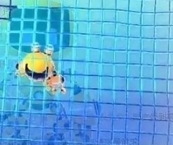 新人蜜糖八音盒♫主播照片