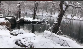 ╰つ子雲╰ゞ主播照片