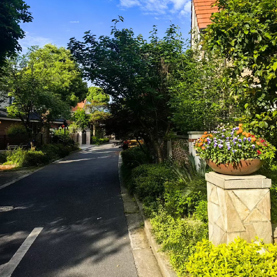 紫藤花里的帅锅锅海报