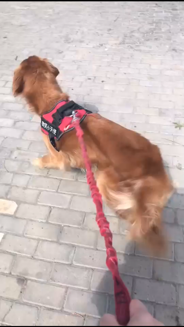 转圈圈