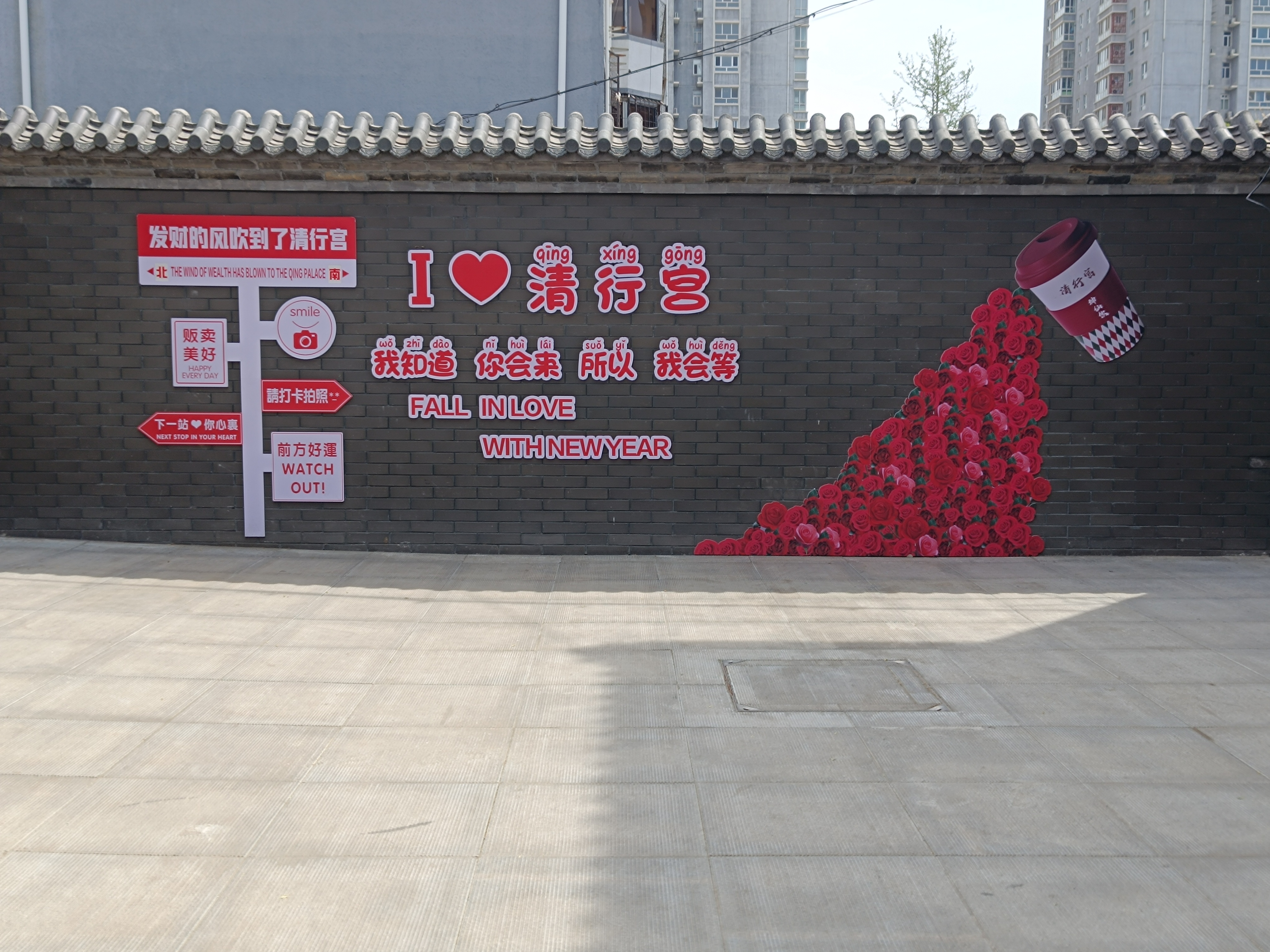 萌新宝宝cbll的图片