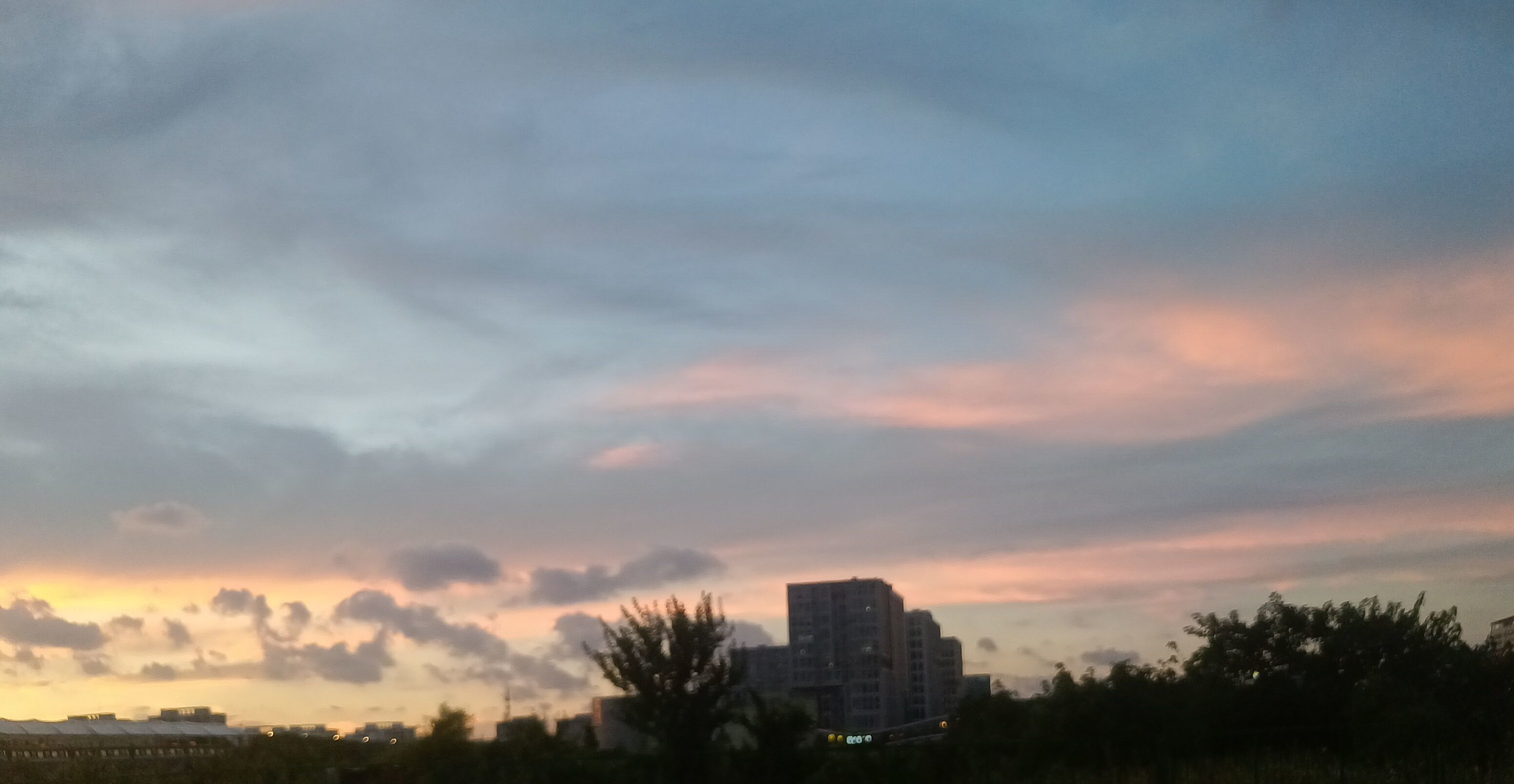 ゛✿洛洛✿的图片