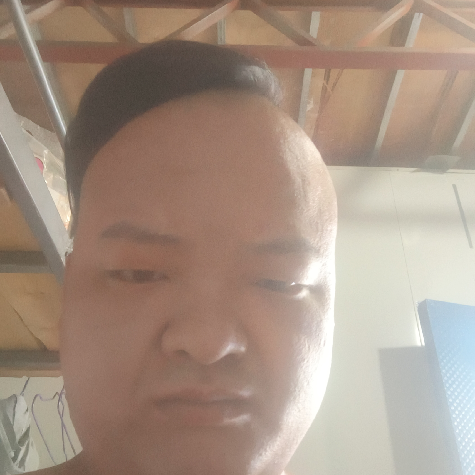 听音乐的蜥蜴.海报