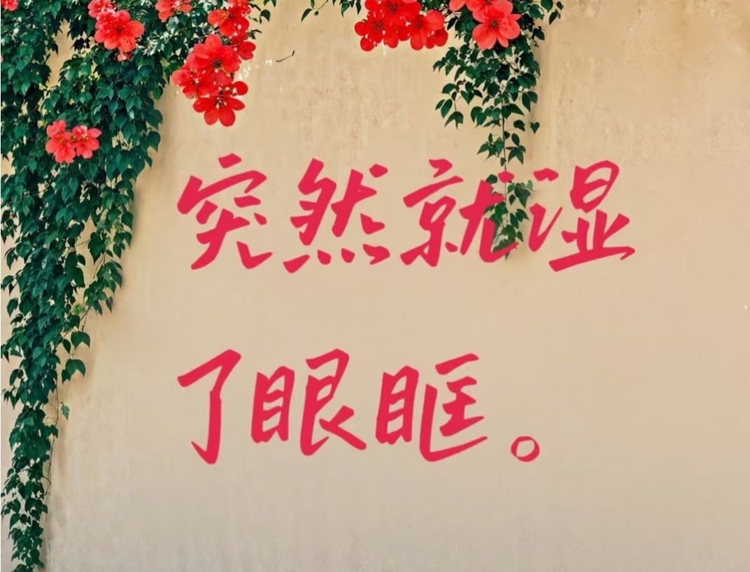 丑小鸭🌾一诺两世欢主播图片