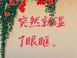 丑小鸭🌈万人迷肉球主播照片
