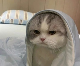 洁儿身体不舒服休主播照片