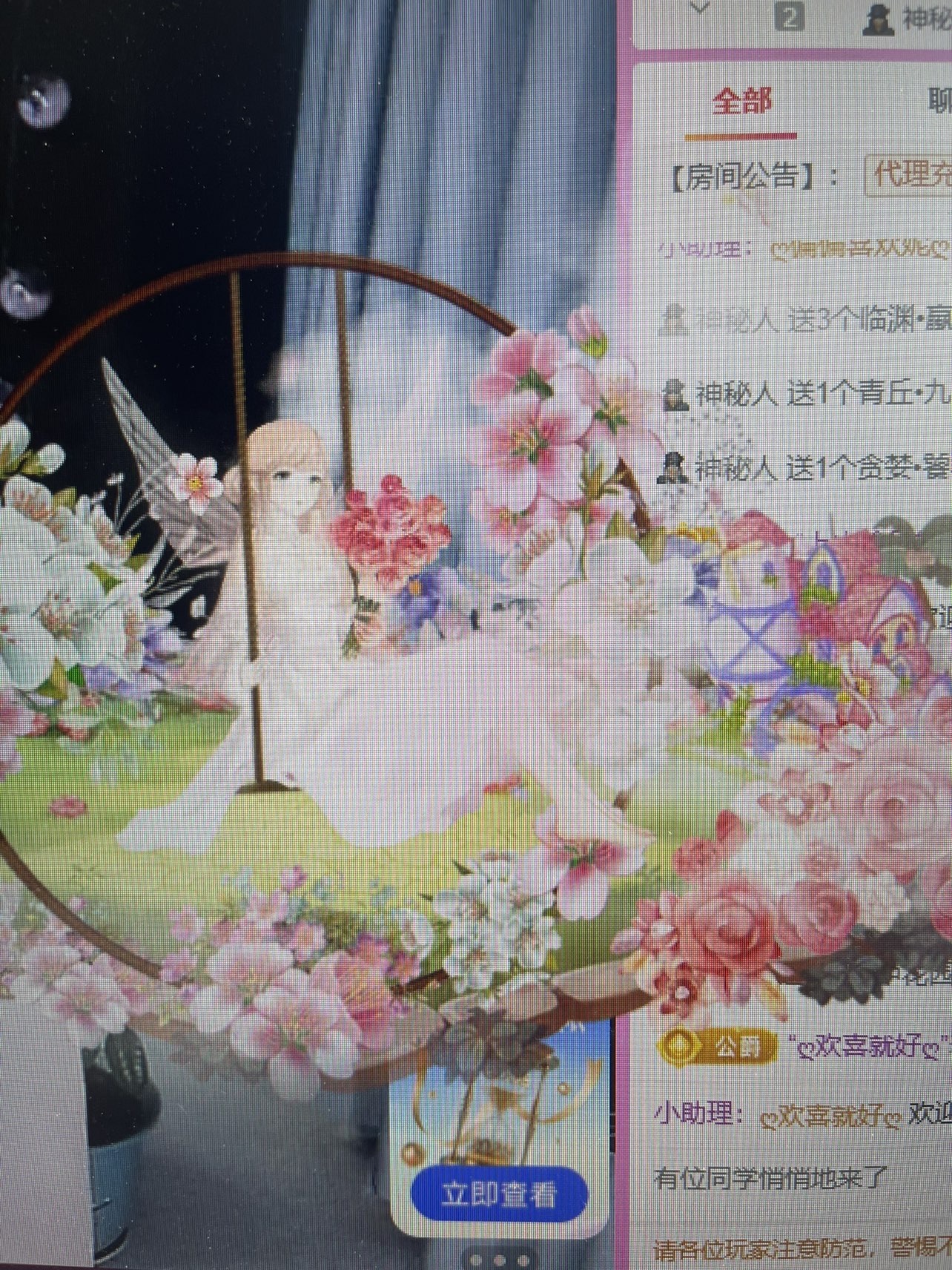 金牌代理❤玲儿❤的图片