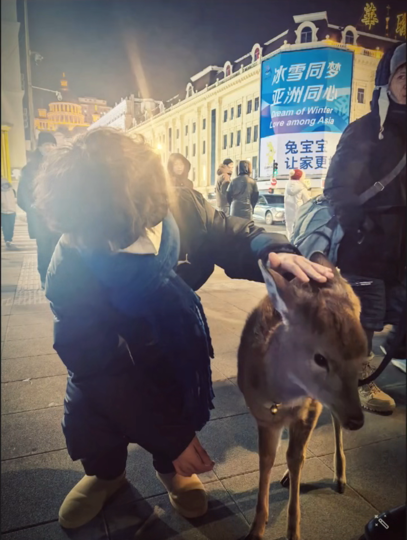 江南798海报