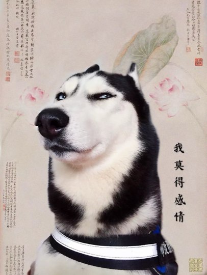 芳了个心海报