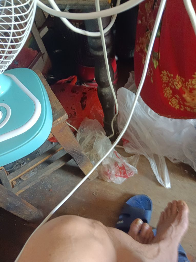 ❧看韩剧的短尾矮袋鼠的图片
