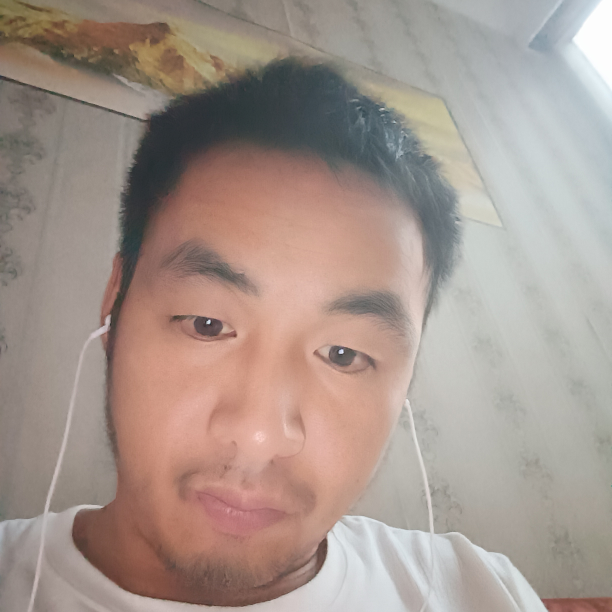 苏志刚g海报