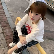 渣渣帆.的头像