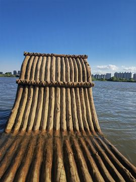 天王盖地虎虎044的图片