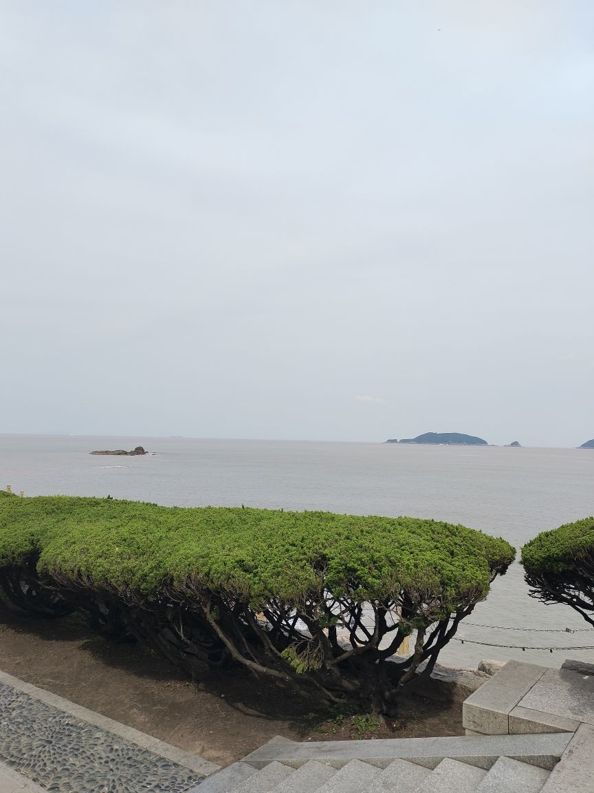 玟玟🌸加油主播图片