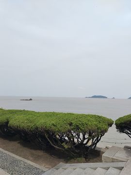 玟玟🌸好运多多主播照片