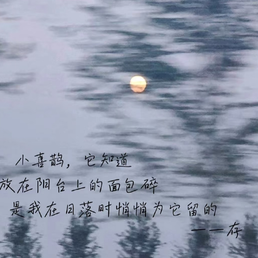 麻薯小圆海报