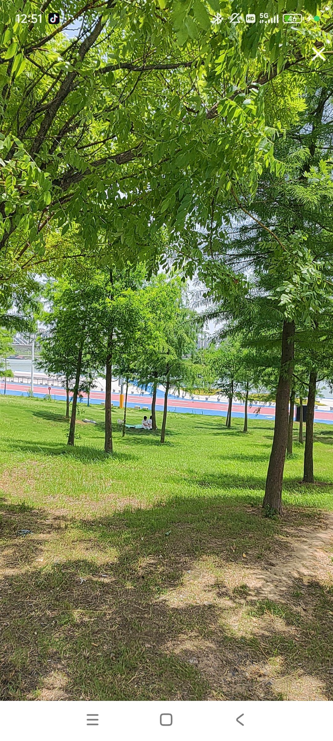 婷婷💕感恩有你陪伴的图片