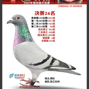 萌新寶寶hmbWLC的頭像