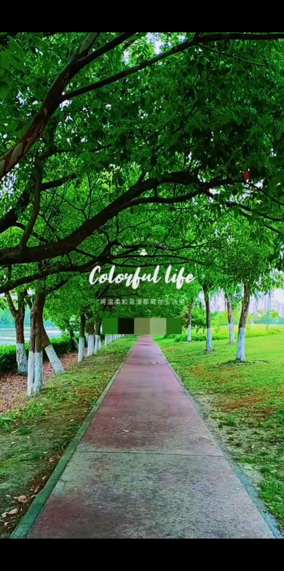 在感受在记录在珍惜在
