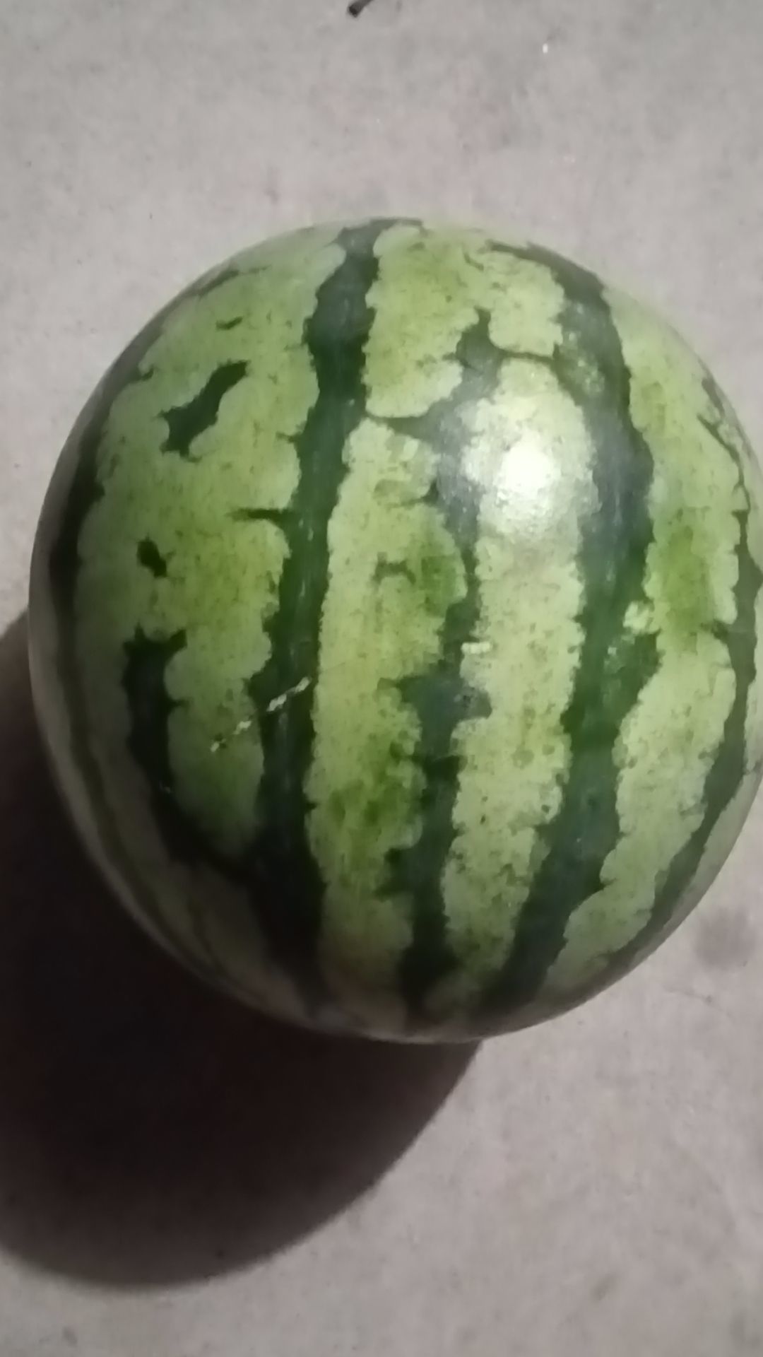 霸气然冰主播图片