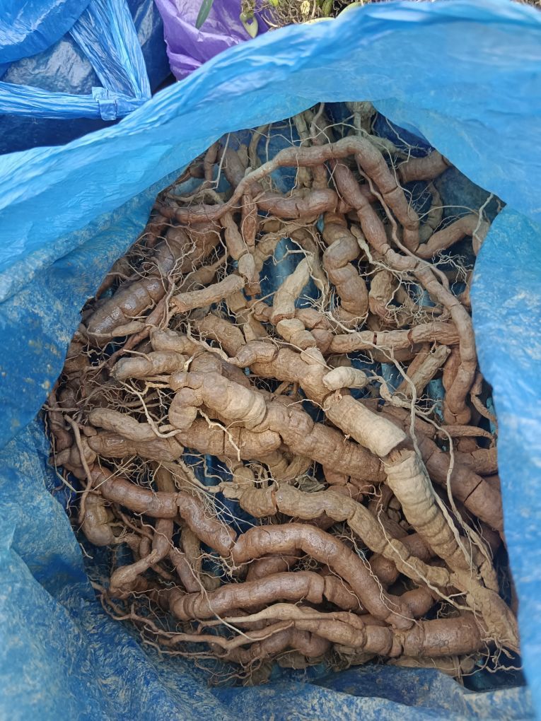 霸气然冰主播图片