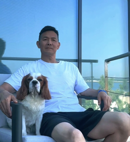 太阳先生。海报