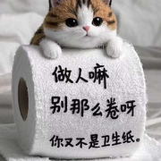 半寸时光.