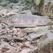 梦欣磊