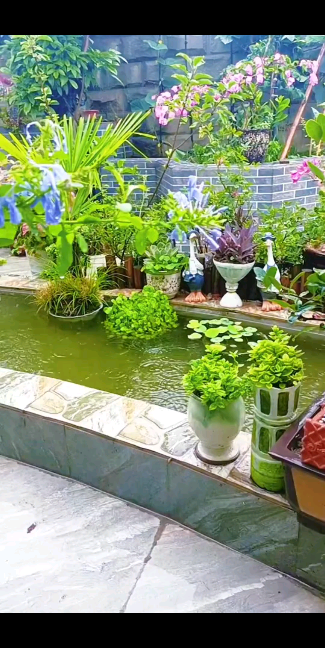 下雨了，这次是真的，