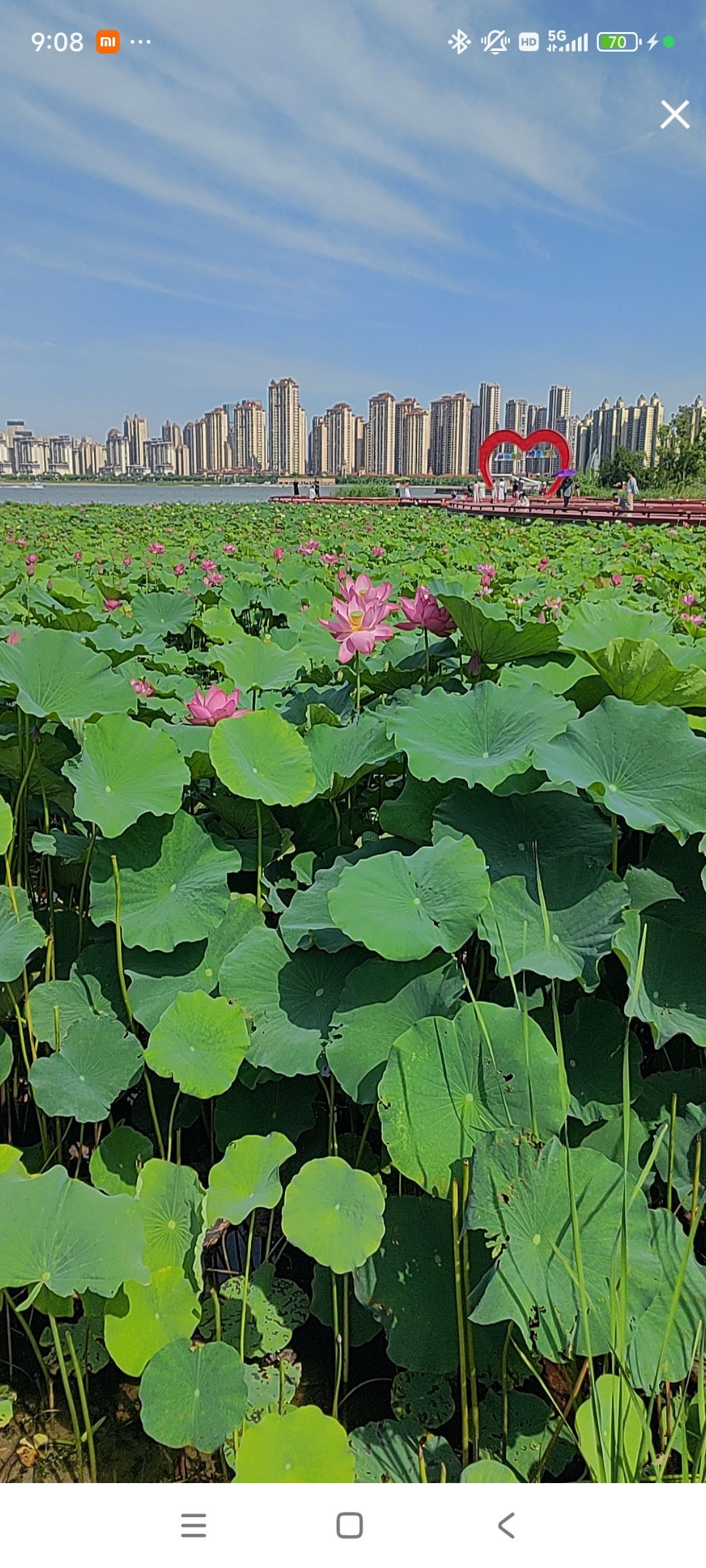 婷婷💕感恩有你陪伴的图片