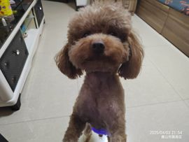 我欲化风成摩羯主播照片