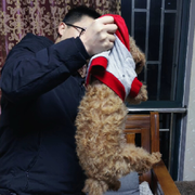 封號斗罗头像