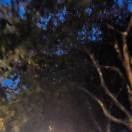 余小龙0