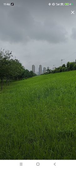 婷婷💕求过月底任务主播照片