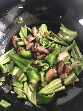 静珍🎵老歌老酒主播照片