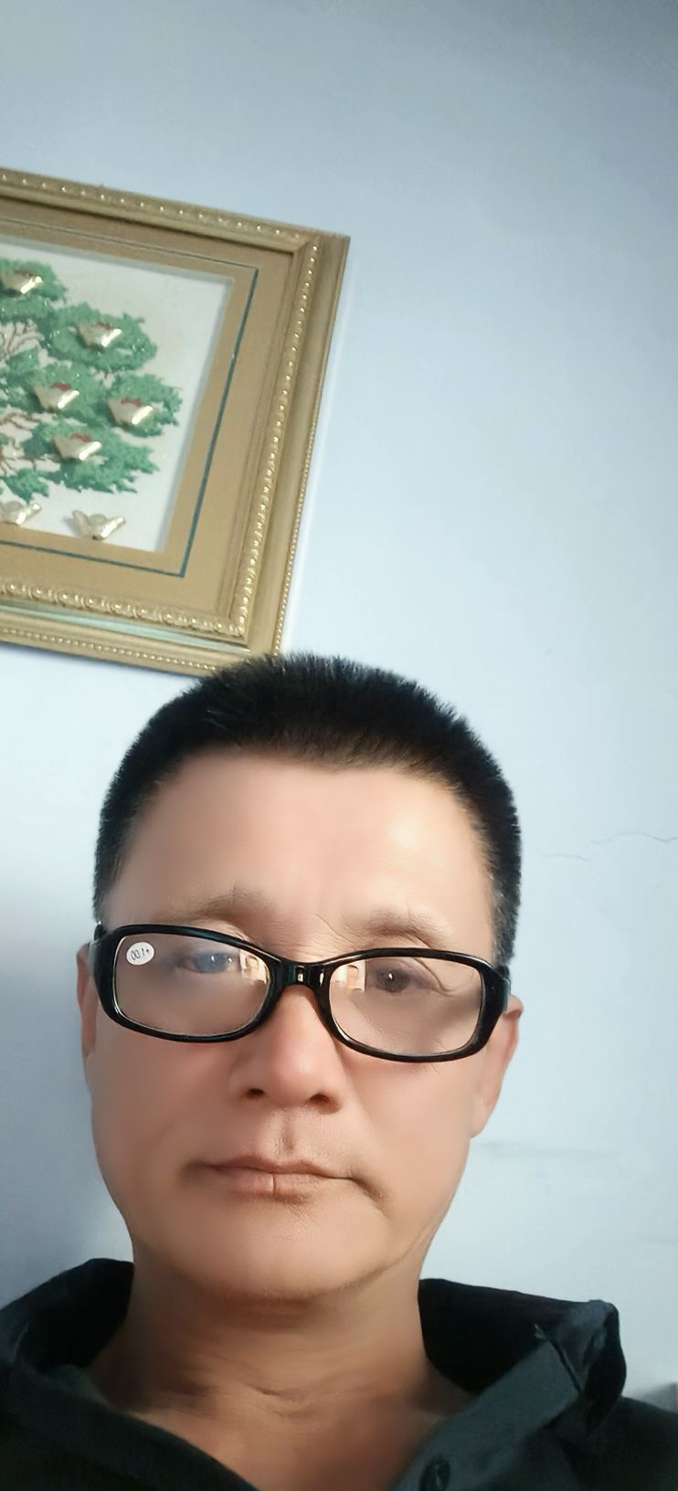 孝顺角岛鲸的图片