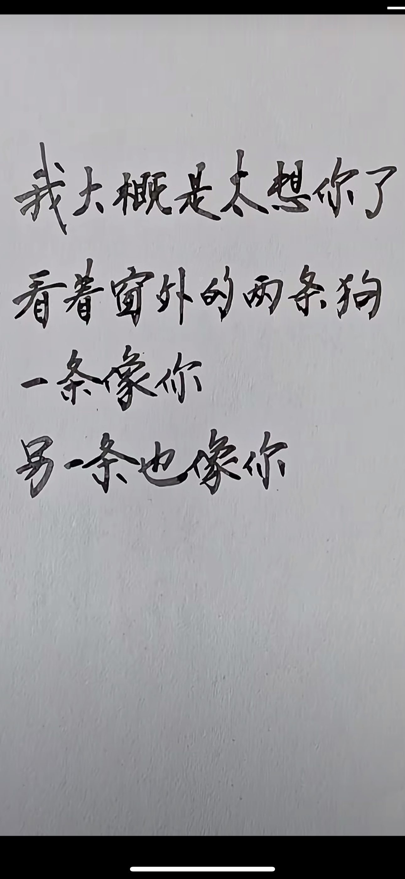 笑着睡醒🐷的图片