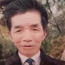 个人家族