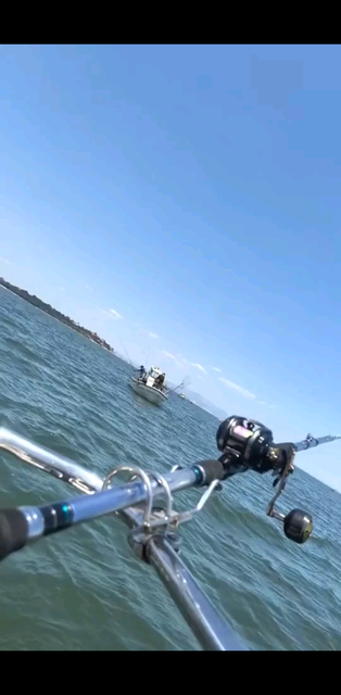不是我軍無能，是鱸魚