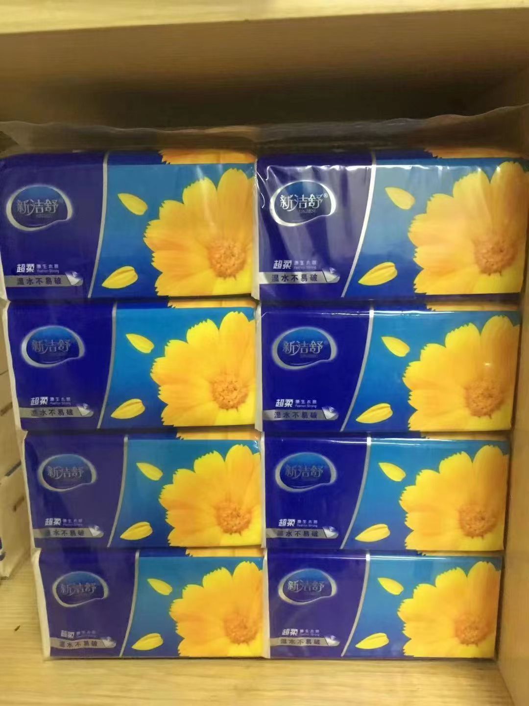 可爱小熊熊的图片