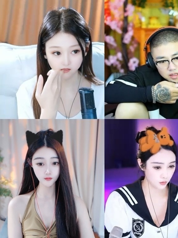 我有一只乌龟的图片