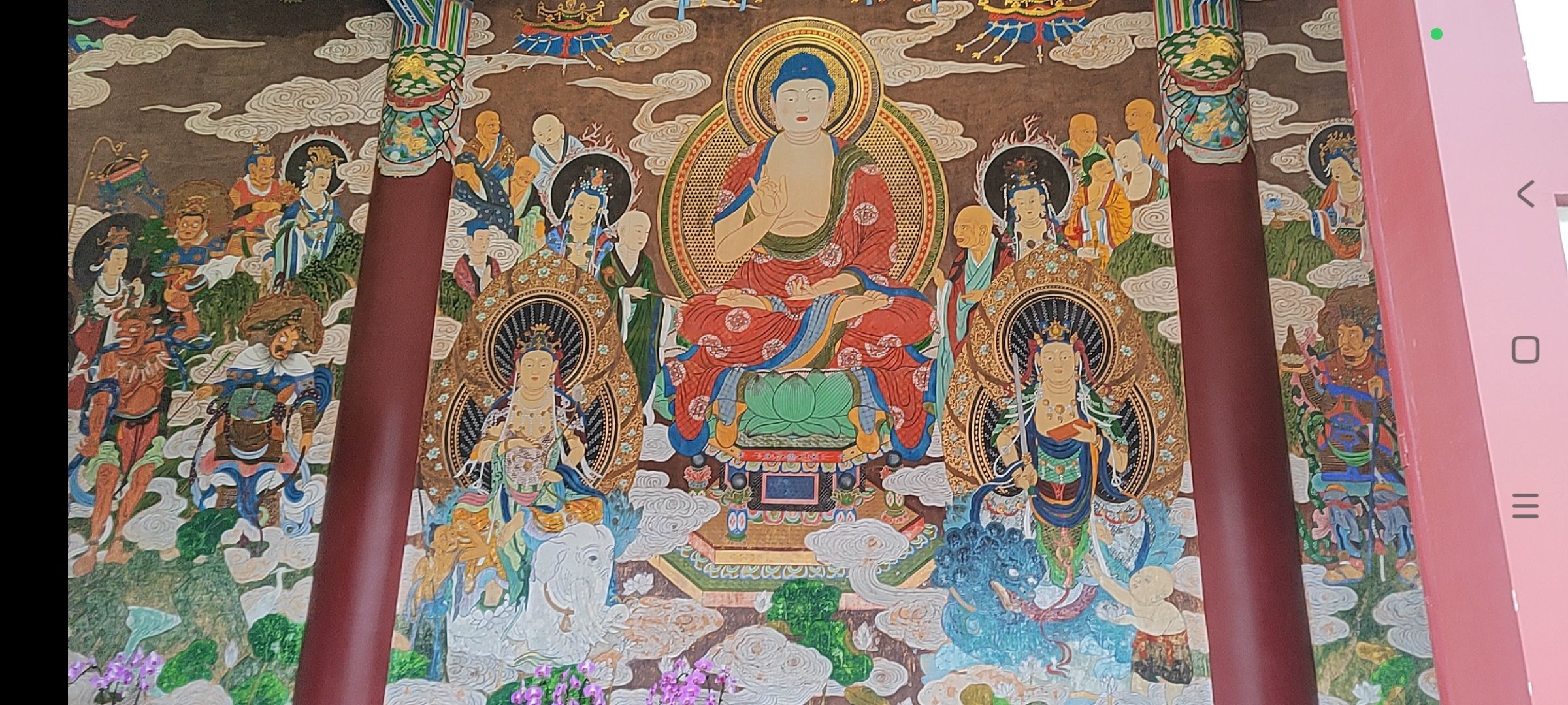 婷婷💕求过月底任务的图片