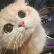 K。。。。。。