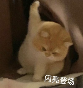 洁儿宝宝求电费~主播照片